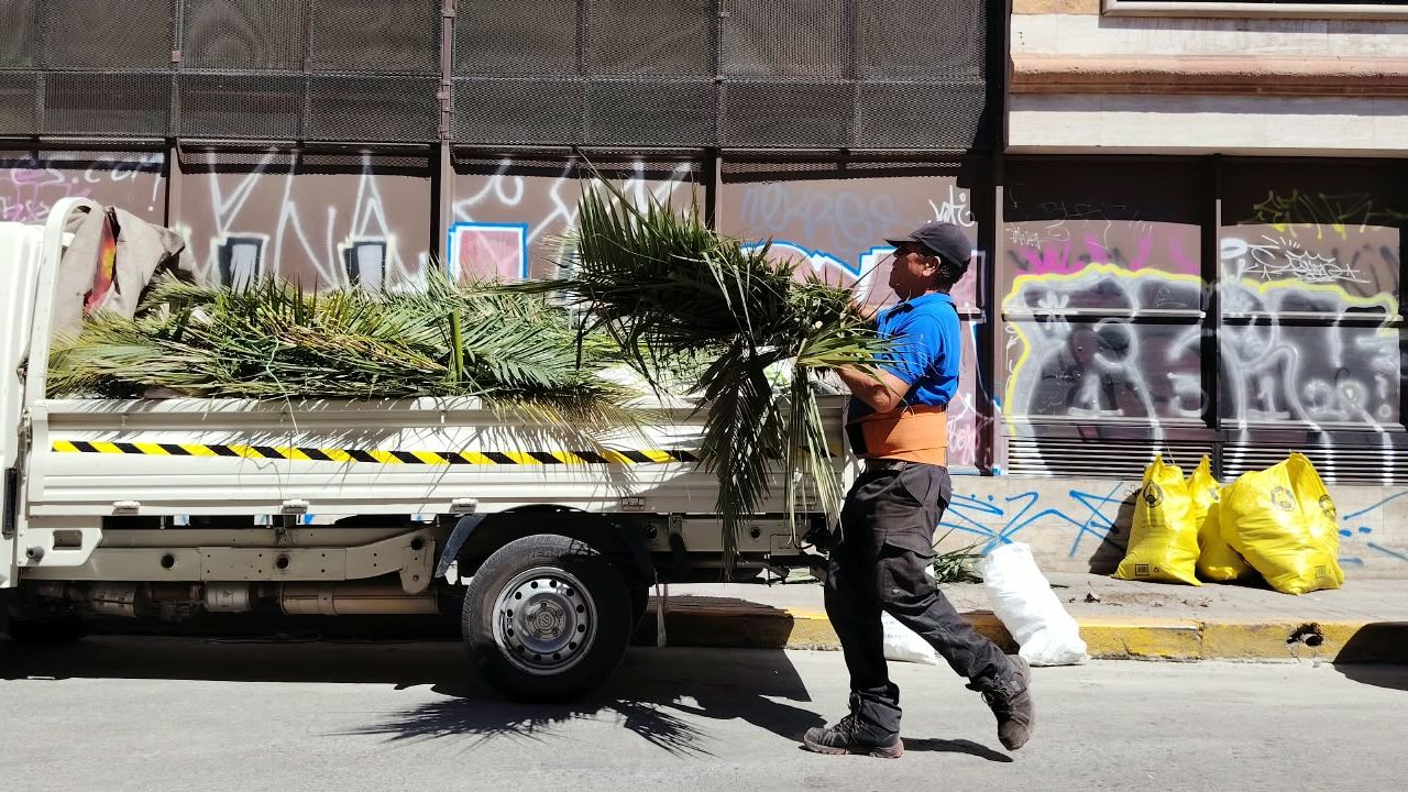 Trabajador de Coopera Pro cargando hojas de palmera en la camioneta junto a sacos en la vereda.